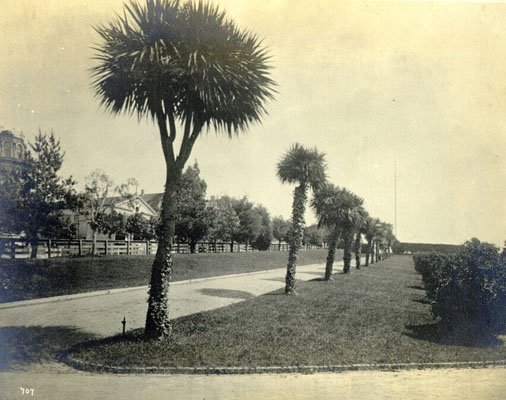 palm-avenue-in-jefferson-square-1881.jpg